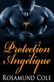 Protection Angélique (eBook, ePUB)