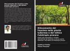 Rilevamento del lisozima nelle piante tuberose e del lattice Calotropis procera