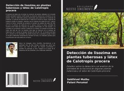 Detección de lisozima en plantas tuberosas y látex de Calotropis procera - Muthu, Sakthivel;Perumal, Palani