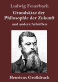 Grundsätze der Philosophie der Zukunft (Großdruck)