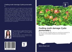 Codling moth damage Cydia pomonella L. - Guermah, Dyhia