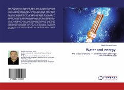 Water and energy - Mohamed Niazy, Magdy