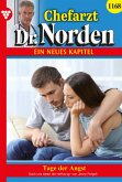 Tage der Angst (eBook, ePUB)