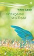 Naturgeister und Engel (eBook, ePUB) - Bild 1