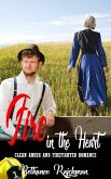 Fire in the Heart: Amish and Firefighter Romance (eBook, ePUB) Fire in the Heart: Amish and Firefighter Romance (eBook, ePUB)