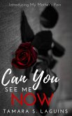 Can You See Me Now? (eBook, ePUB) Can You See Me Now? (eBook, ePUB)