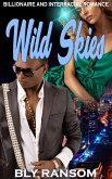 Wild Skies: Billionaire and Interracial Romance (eBook, ePUB)