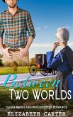 Between Two Worlds: A Clean Amish and Woodcutter Romance (eBook, ePUB)
