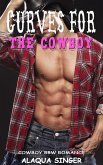Curves for the Cowboy: Cowboy and BBW Romance (eBook, ePUB)