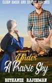 Under A Prairie Sky: Amish and Cowboy Romance (eBook, ePUB)