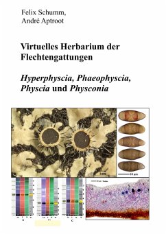 Virtuelles Herbarium der Flechtgattungen (eBook, ePUB) - Schumm, Felix