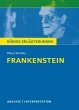 Frankenstein (eBook, PDF) - Bild 1
