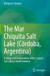 The Mar Chiquita Salt Lake (Córdoba,... - Bild 1
