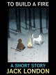 To Build a Fire (eBook, ePUB) - Bild 1