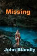 Missing (mystery) (eBook, ePUB) - Bild 1