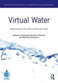 Virtual Water (eBook, ePUB)