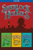 Sherlock Holmes II (eBook, ePUB)