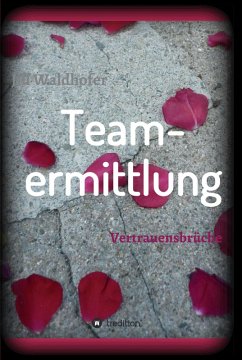 Teamermittlung (eBook, ePUB) - Waldhofer, Jill