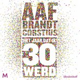 Het jaar dat ik 30 werd (MP3-Download)