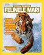 Totul despre felinele mari (eBook, ePUB) - Bild 1