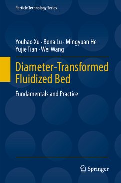 Diameter-Transformed Fluidized Bed (eBook, PDF) - Xu, Youhao; Lu, Bona; He, Mingyuan; Tian, Yujie; Wang, Wei