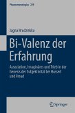 Bi-Valenz der Erfahrung (eBook, PDF)
