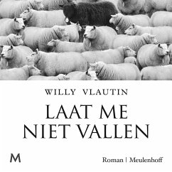Cover Laat me niet vallen (MP3-Download)