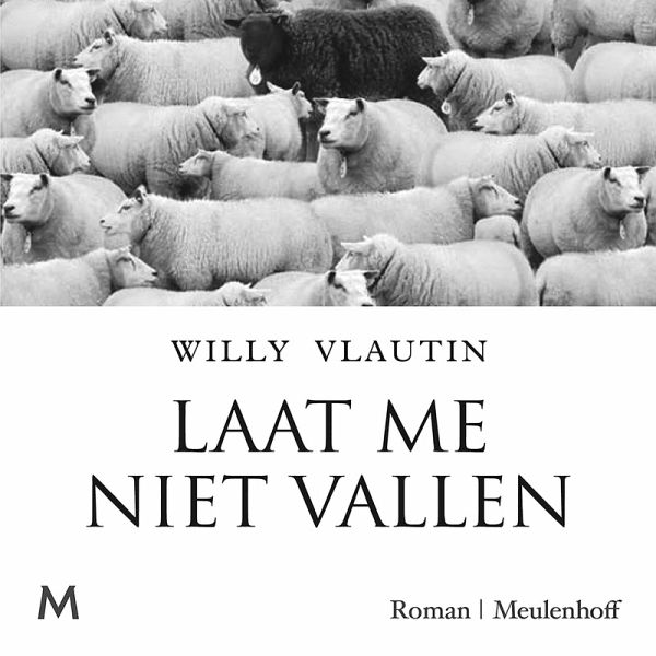 Laat me niet vallen (MP3-Download)
