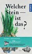 Welcher Stein ist das? (eBook, ePUB) - Bild 1