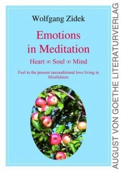 Emotions in Meditation - Zidek, Wolfgang