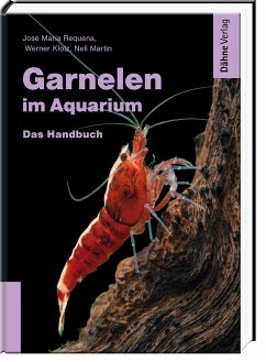 Garnelen im Aquarium - Requena, José María;Klotz, Werner