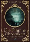 Die Magie der Flamm (eBook, ePUB)