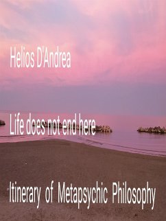 Life does not end here (eBook, ePUB) - D'andrea, Helios