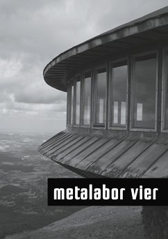 metalabor vier (eBook, ePUB)