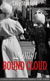 Amish Bound Cloud: A Collection of Clean Amish Romance Short Stories (eBook, ePUB)