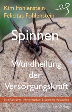 Spinnen - Wundheilung der Versorgungskraft (eBook, ePUB) - Fohlenstein, Kim; Felicitas Fohlenstein