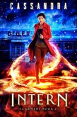 Intern (eBook, ePUB)