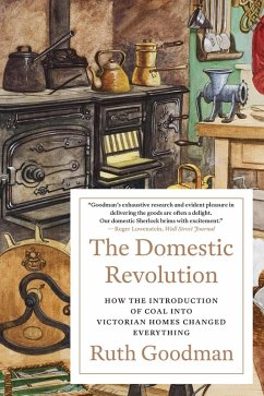 The Domestic Revolution: How the Introduction of Coal into Victorian Homes Changed Everything (eBook, ePUB) - Goodman, Ruth