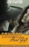 Cowboy Hard Gift: A Collection of Clean Cowboy Romance Short Stories (eBook, ePUB)