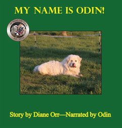 My Name is Odin - Orr, Diane