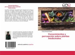 Conocimientos y percepción sobre plantas medicinales - Delvalle Ibáñez, Evelyn