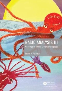 Basic Analysis III - Peterson, James K