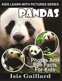 Pandas: Photos and Fun Facts for Kids