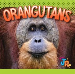 Orangutans - Storm, Marysa