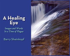 A Healing Eye: Images and Words in a Time of Plague - Sheinkopf, Barry