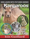 Kangaroos: Photos and Fun Facts for Kids