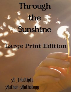 Through the Sunshine Large Print - Nichole, Deedra; Publishing, Fae Corps; Reyes, Luisa Kay