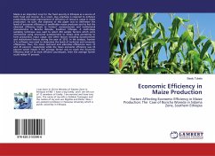 Economic Efficiency in Maize Production