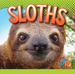 Sloths - Storm, Marysa