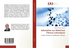 Adsorption sur Matériaux Fibreux Cationiques - Baouab, Mohamed Hassen V